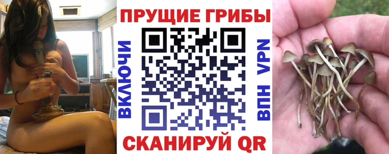 Галлюциногенные грибы Cubensis Чебаркуль